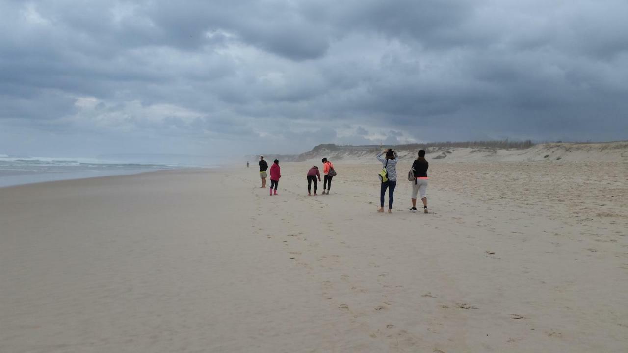 פניש Beach And Surf מראה חיצוני תמונה